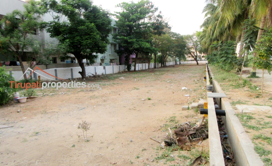 TUDA & RERA Approved #GatedCommunity East & West Facing #PlotsforSale Near Padmavathi Kalyanamandapam, #Tirupati